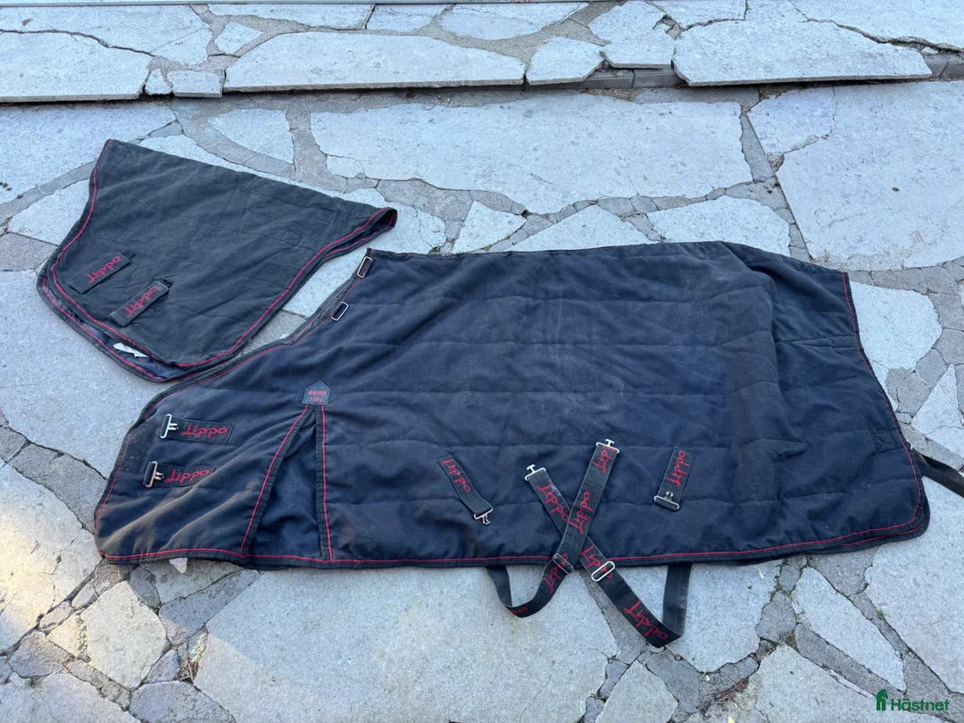 Täcken hästutrustning till salu: Lippo stalltäcke - Annons 1