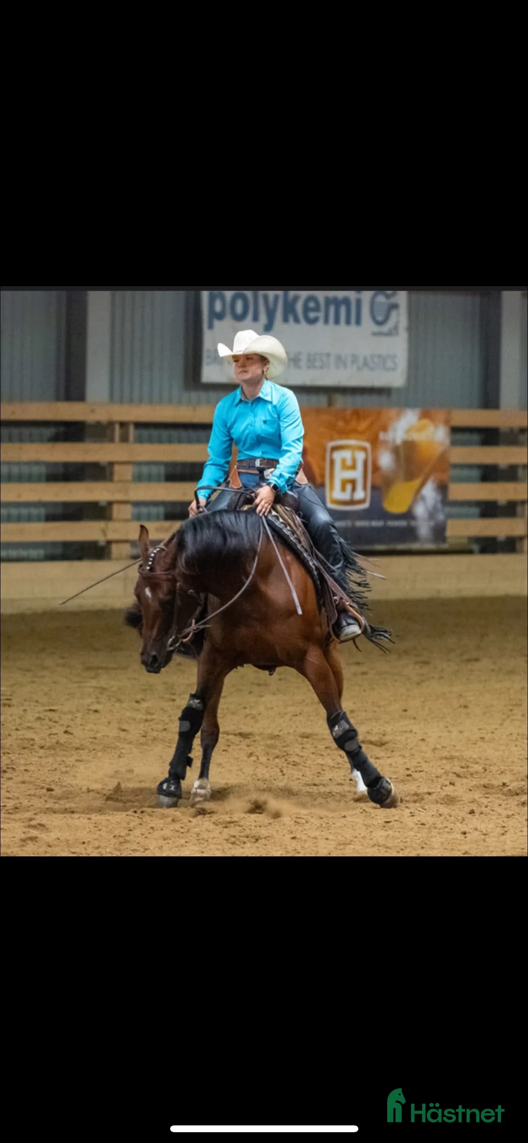 Western hästar till salu: Läromästare  - Annons 1