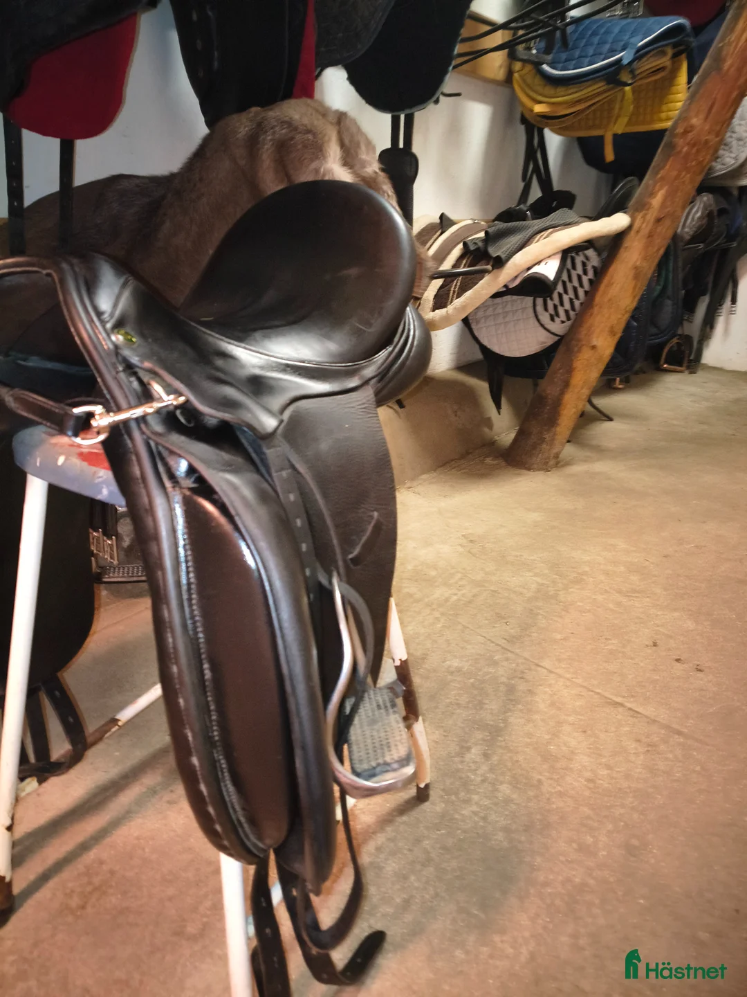 Sadlar hästutrustning till salu: Spalding Brittanica Peninne 17.5' i Höör - Annons 2