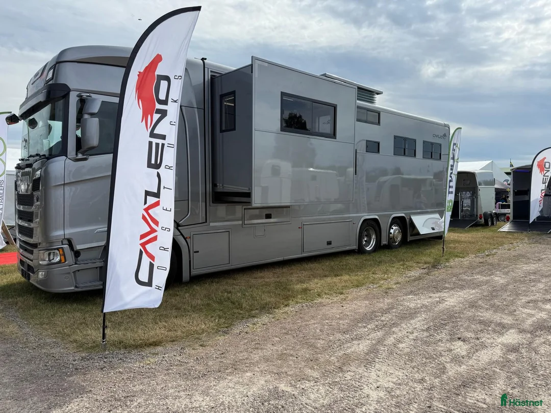 Hästlastbilar  fordon & transport till salu: Hästlastbil Scania i Getinge - Annons 2