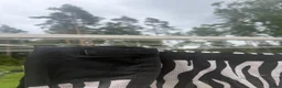 Täcken hästutrustning till salu: Zebra Flugtäcke - Annons 2