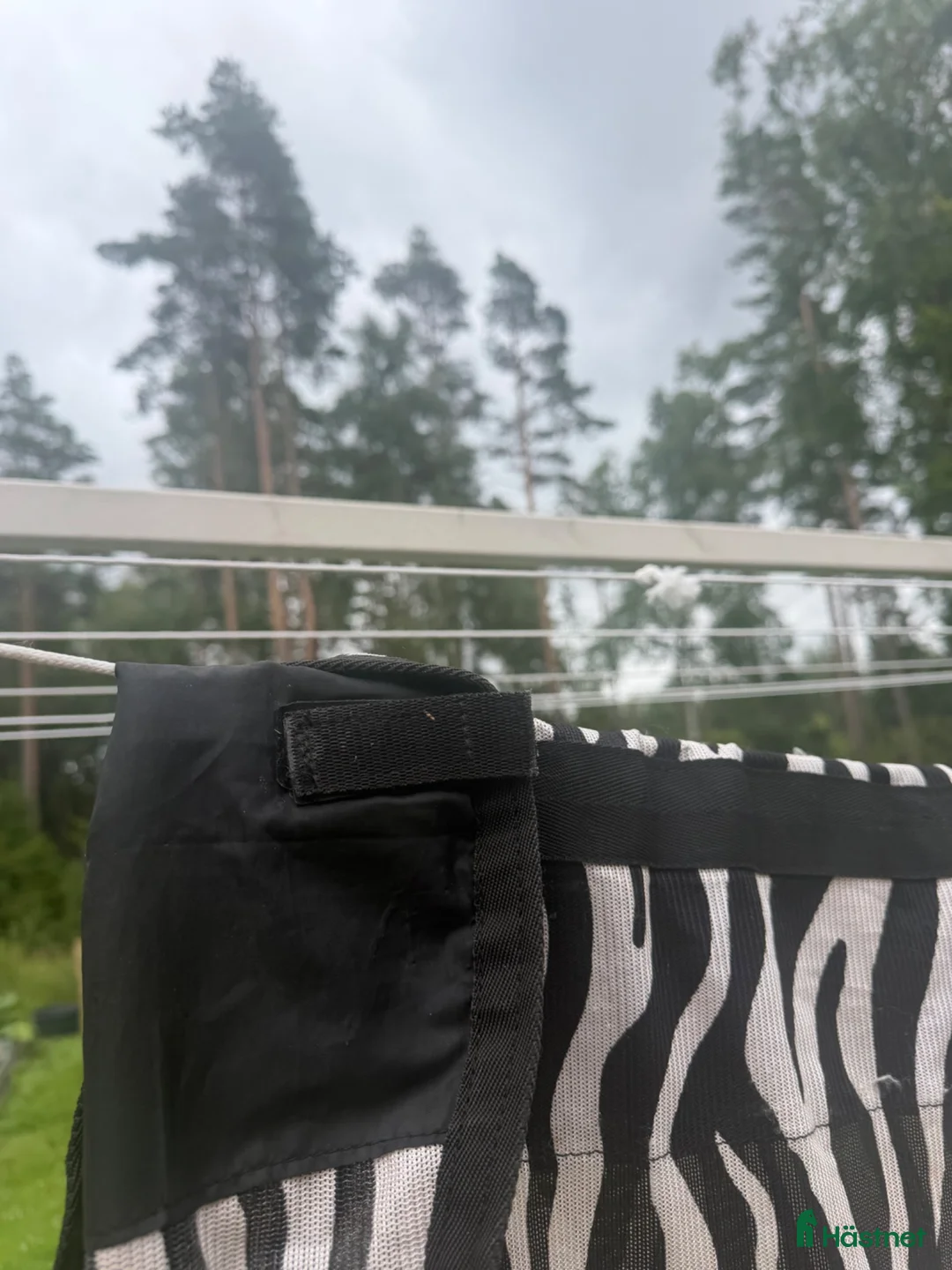 Täcken hästutrustning till salu: Zebra Flugtäcke - Annons 2
