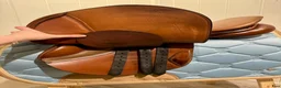 Sadlar hästutrustning till salu: Stubben Edelweiss De Luxe NT sadelpaket  - Annons 7