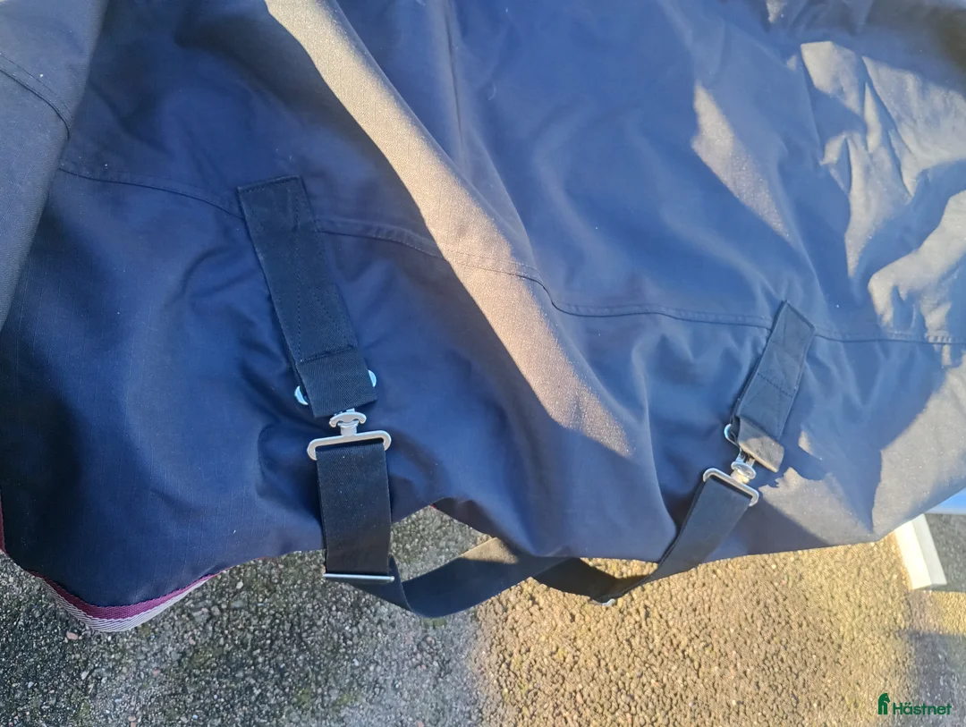 Täcken hästutrustning till salu: Vintertäcke  - Annons 3