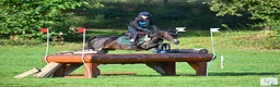 Övrigt hästar till salu: 138 Grand Prix C pony in France - Annons 2