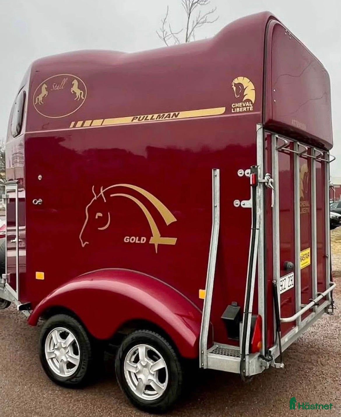 Hästtransporter  fordon & transport till salu: Cheval liberte gold - Annons 4