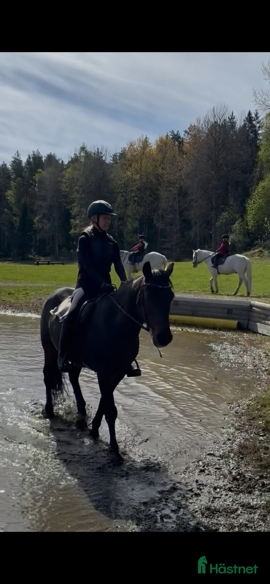  medryttarhäst sökes: Jag söker min medryttarhäst!! i Rönninge - Annons 2
