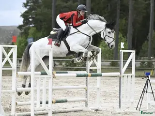 hästar Klasshäst säljes - Annons 4