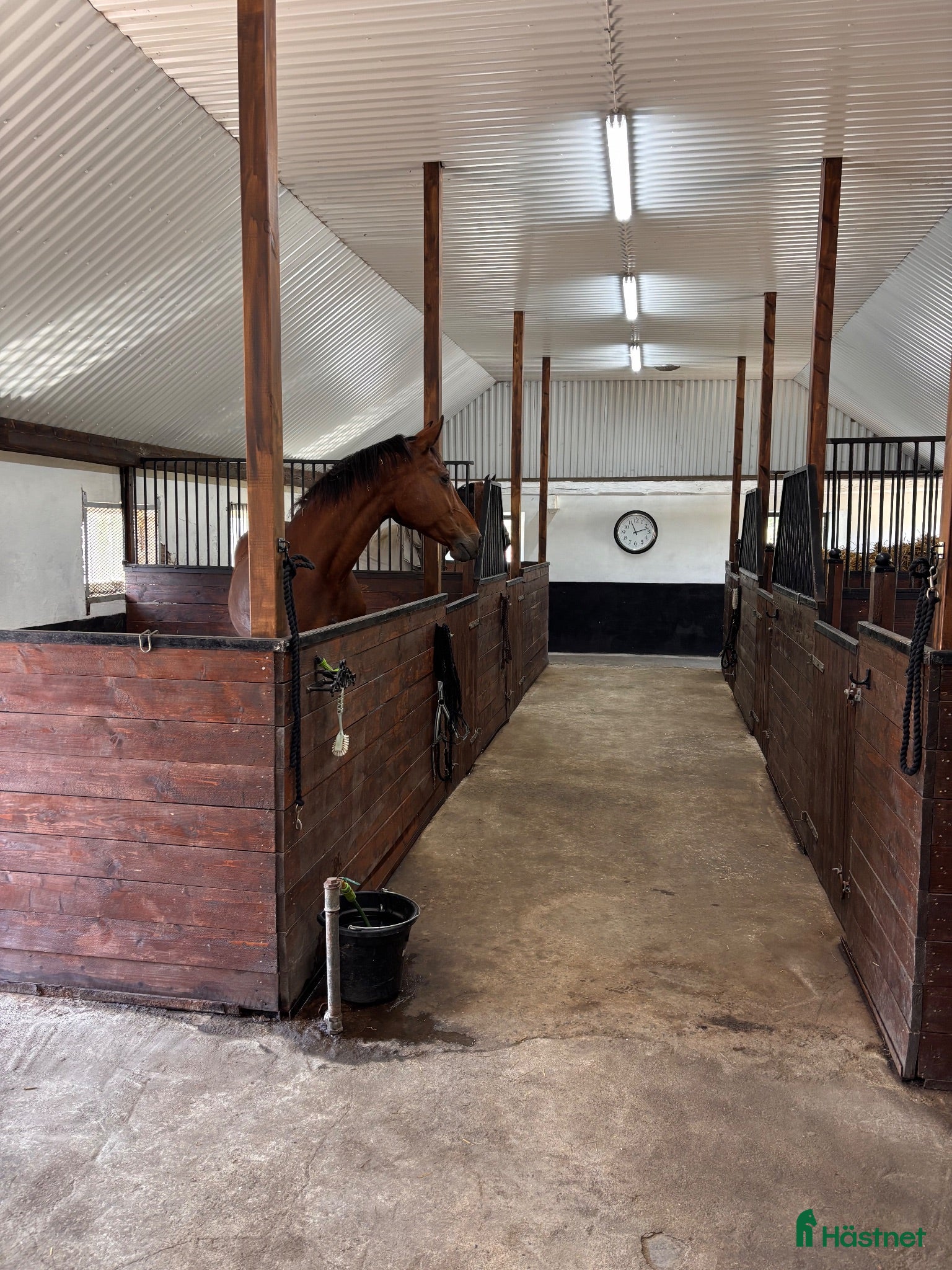  stallplats Boxplatser - Annons 6