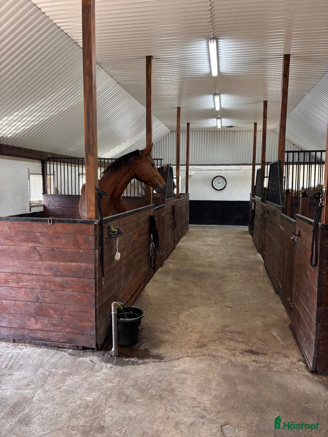  stallplats finnes: Boxplatser - Annons 1