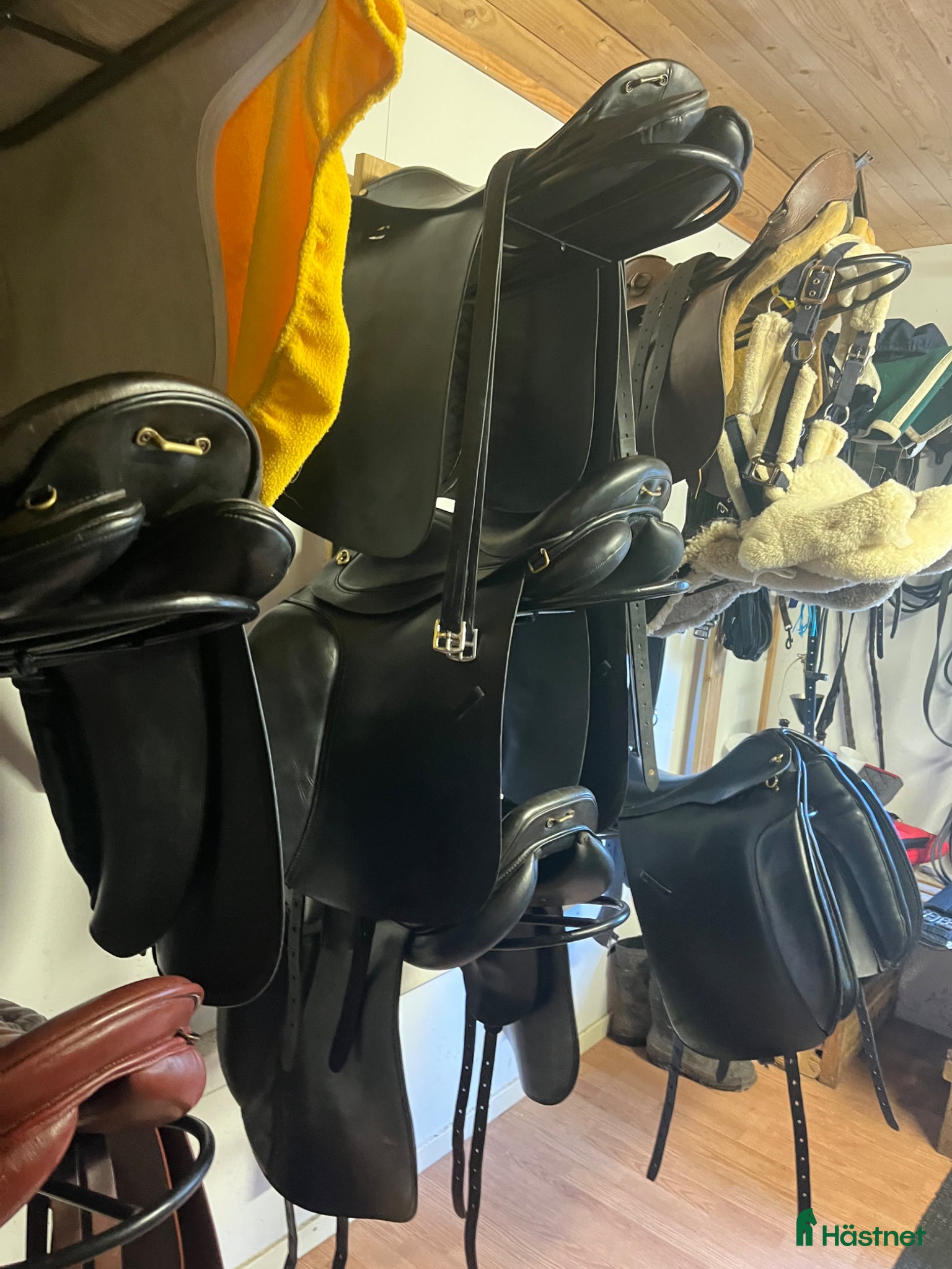 Sadlar hästutrustning Sadlar och annan utrustning till Islandshäst - Annons 14