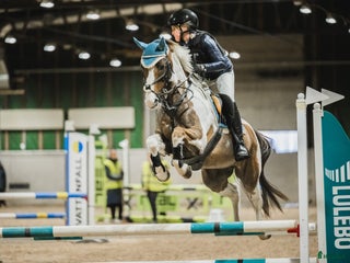 hästar i Sjulsmark - Annons 18