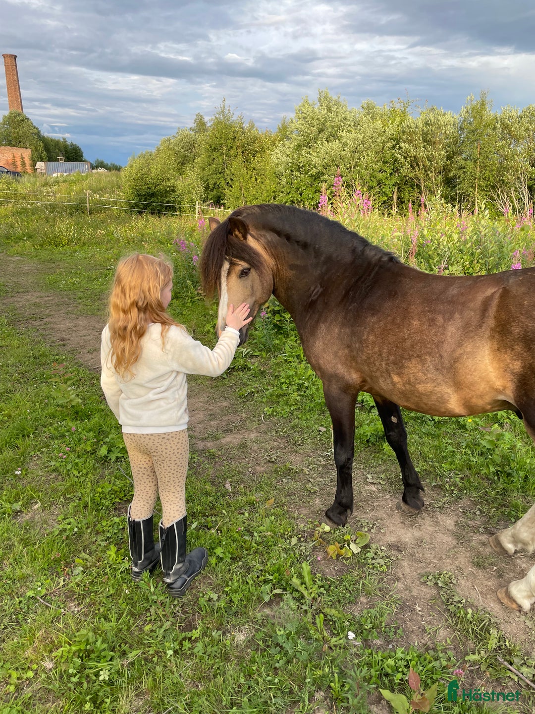 Galleribild {{count}}