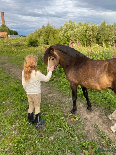 Galleribild {{count}}