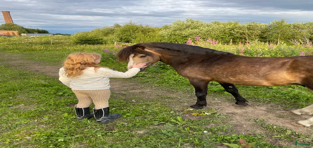 Galleribild {{count}}