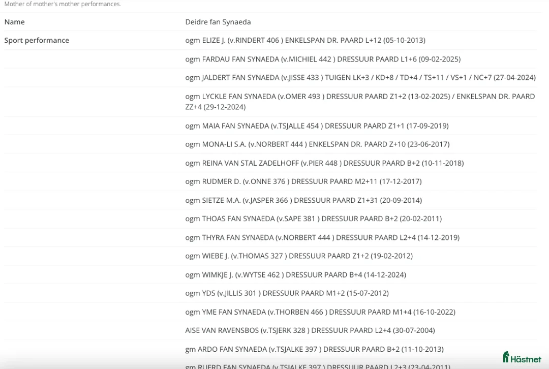 Dressyr hästar till salu: Daryan - lovande framtida sportstjärna - Annons 8