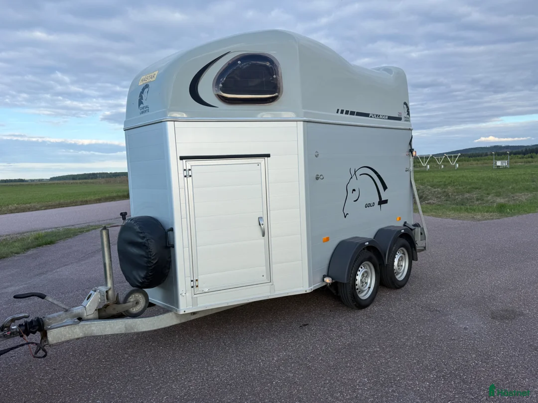 Hästtransporter  fordon & transport till salu: Cheval Gold Aluline -19 - Annons 1