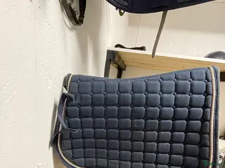 Schabrak & Vojlockar hästutrustning till salu: Blått schabrak - Annons 3