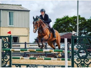 hästar Världens bästa Gerry! i Finspång - Annons 6