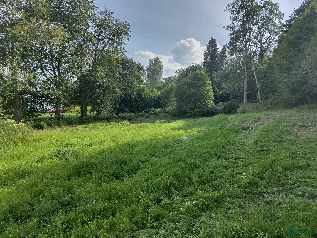 Övrigt hästar sökes: SÖKES! Hagkompis i sommar i Timmele - Annons 2