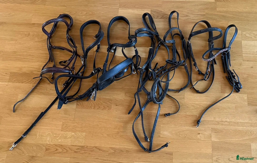 Övrig Hästutrustning hästutrustning till salu: Gjordar, martingal, tyglar, mm i Vikingstad - Annons 4
