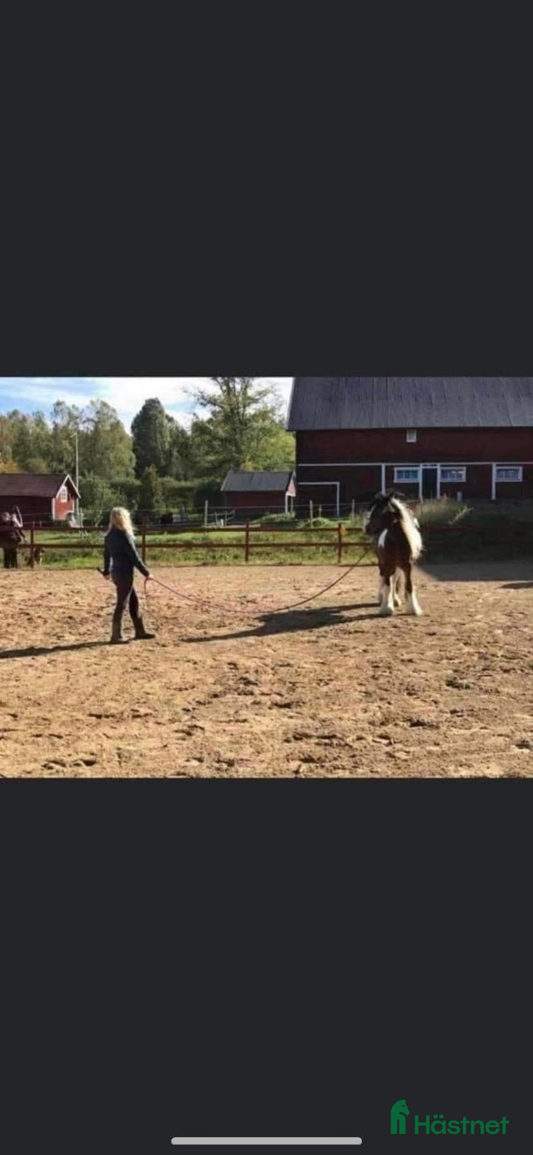  stallplats finnes: Stallplatser  i Sköldinge - Annons 4