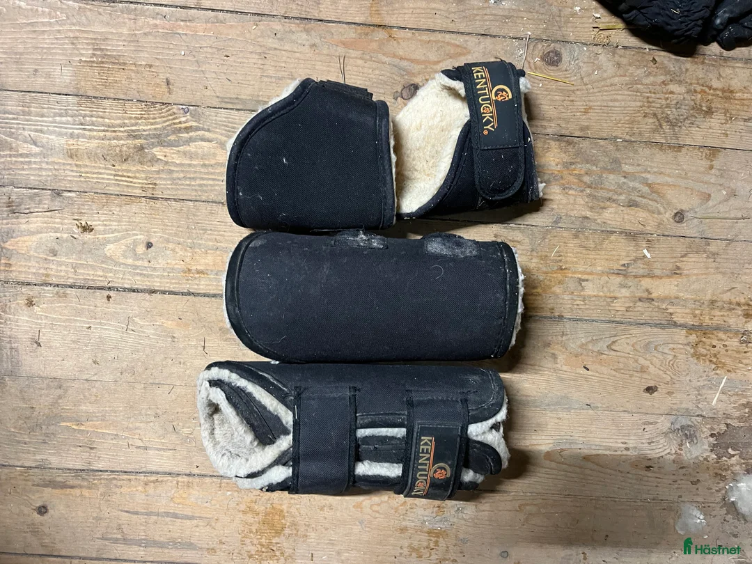 Benskydd hästutrustning till salu: Kentucky Damasker Solimbra fram, bak samt short i Västra Frölunda - Annons 1