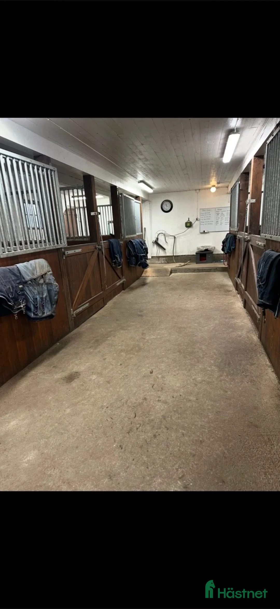  stallplats finnes: Lösdrift för valacker/unghingstar finnes  i Linneryd - Annons 8