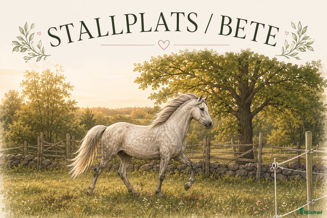  stallplats finnes: Stallplats/ bete i Nybro, Småland.  i Nybro - Annons 1