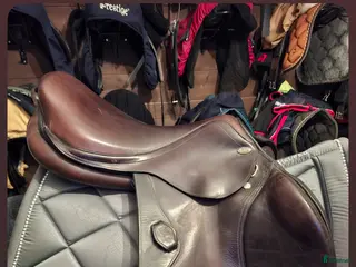 Sadlar hästutrustning Santa Cruz - Annons 5