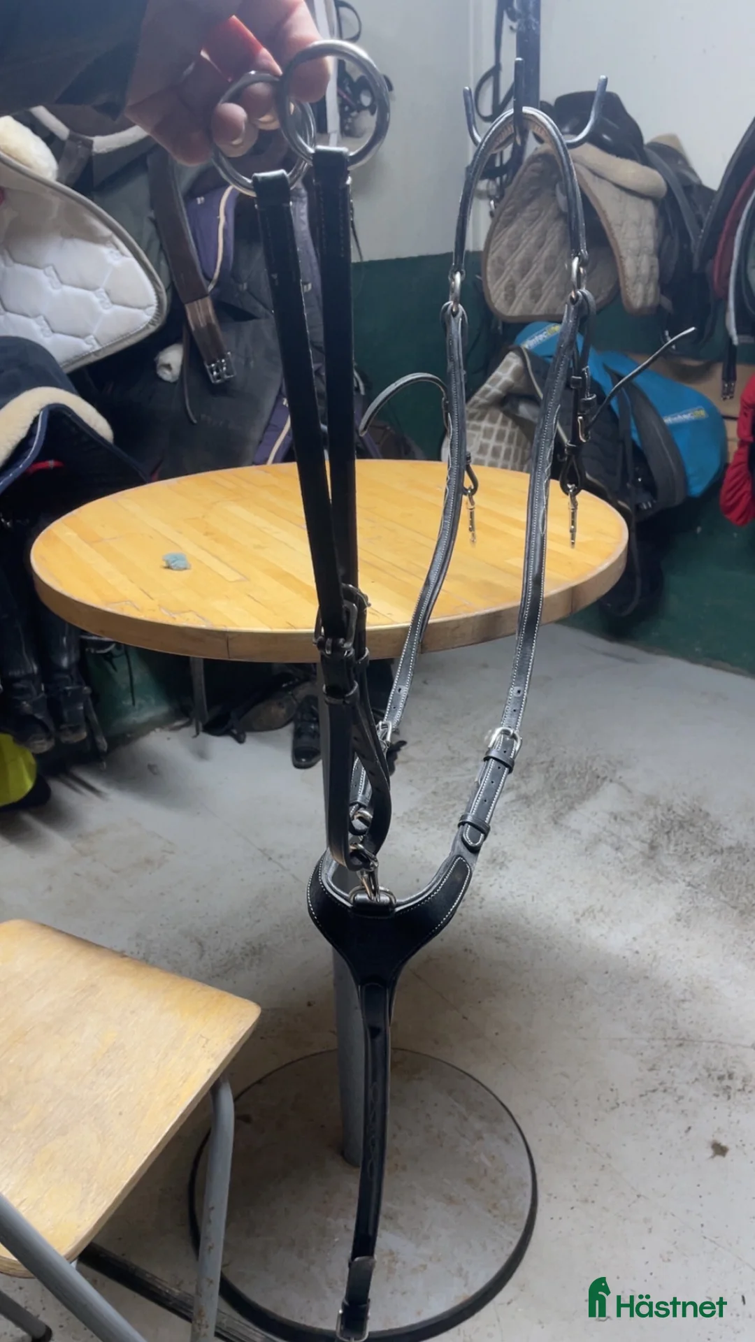 Sadeltillbehör hästutrustning till salu: Lippo förbygel  i Borås - Annons 1