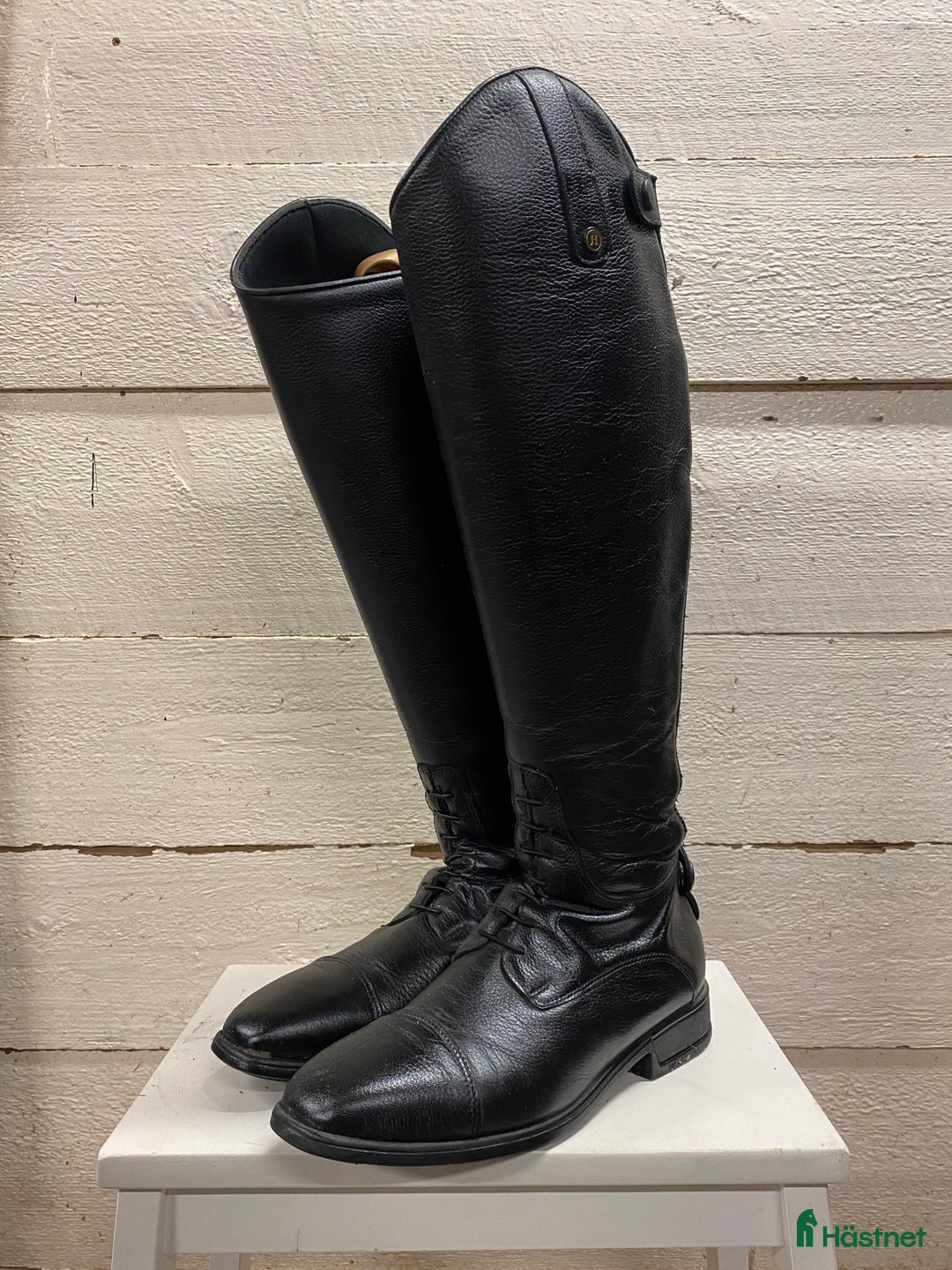 Ridstövlar ryttarutrustning till salu: Ridstövel Amadora i Njurunda - Annons 1