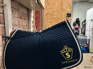 Schabrak & Vojlockar hästutrustning till salu: SWB schabrak, i Sundborn - Annons 3