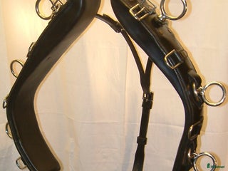 Övrig Hästutrustning hästutrustning till salu: TÖMKÖRNINGSGJORD GLOBUS BLACK DELUXE i Kalmar - Annons 1