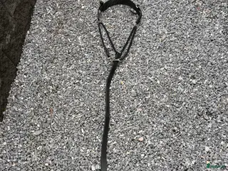 Övrig Hästutrustning hästutrustning Schabong - Annons 2