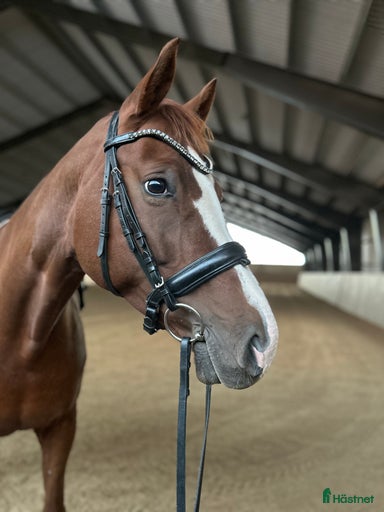 Galleribild {{count}}