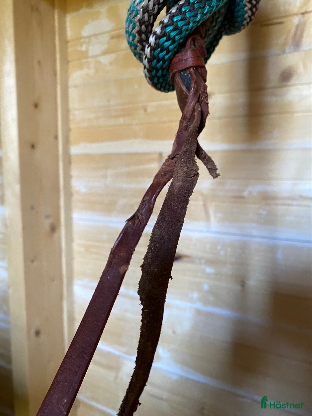 Övrig Hästutrustning hästutrustning till salu: Turkos repgrimma med långt grimskaft  i Haparanda - Annons 3