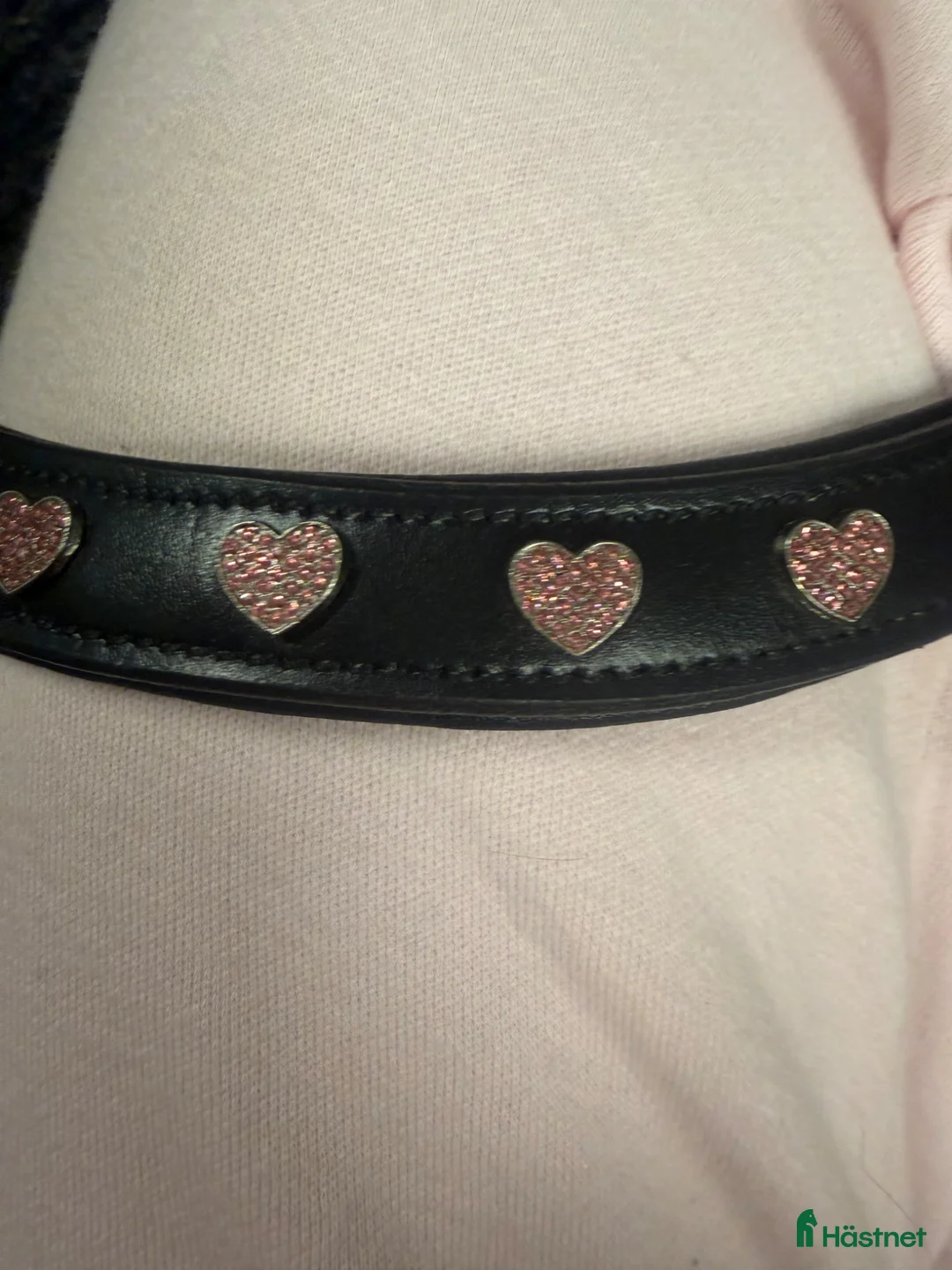 Övrig Hästutrustning hästutrustning till salu: Superfint pannband - Annons 2