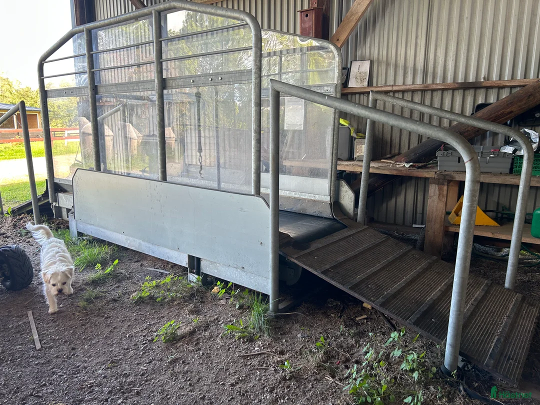 Övrig utrustning övrig utrustning till salu: Skrittband från Horsetrainer  i Kisa - Annons 2