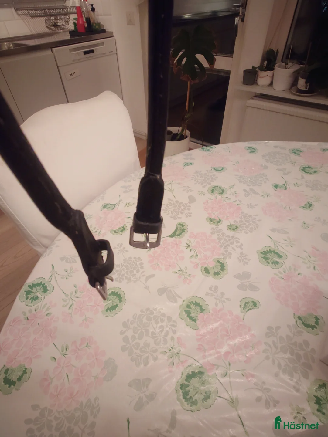 Träns hästutrustning till salu: Huvudlag i mörkt läder full storlek  - Annons 7