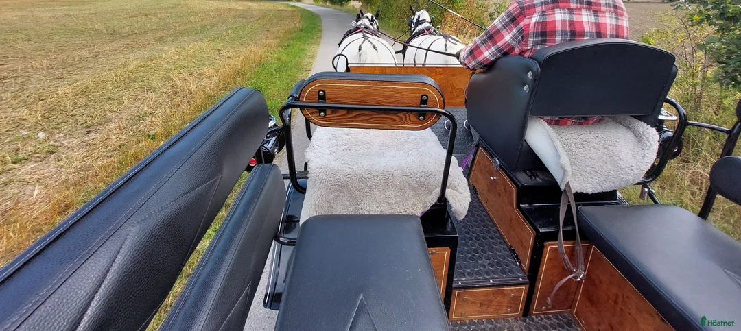 Körvagnar körning till salu: Wagonett - Annons 5