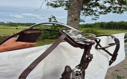 Körselar körning till salu: Exklusiv loksele i nyskick till shettis i Fågelmara - Bild 2