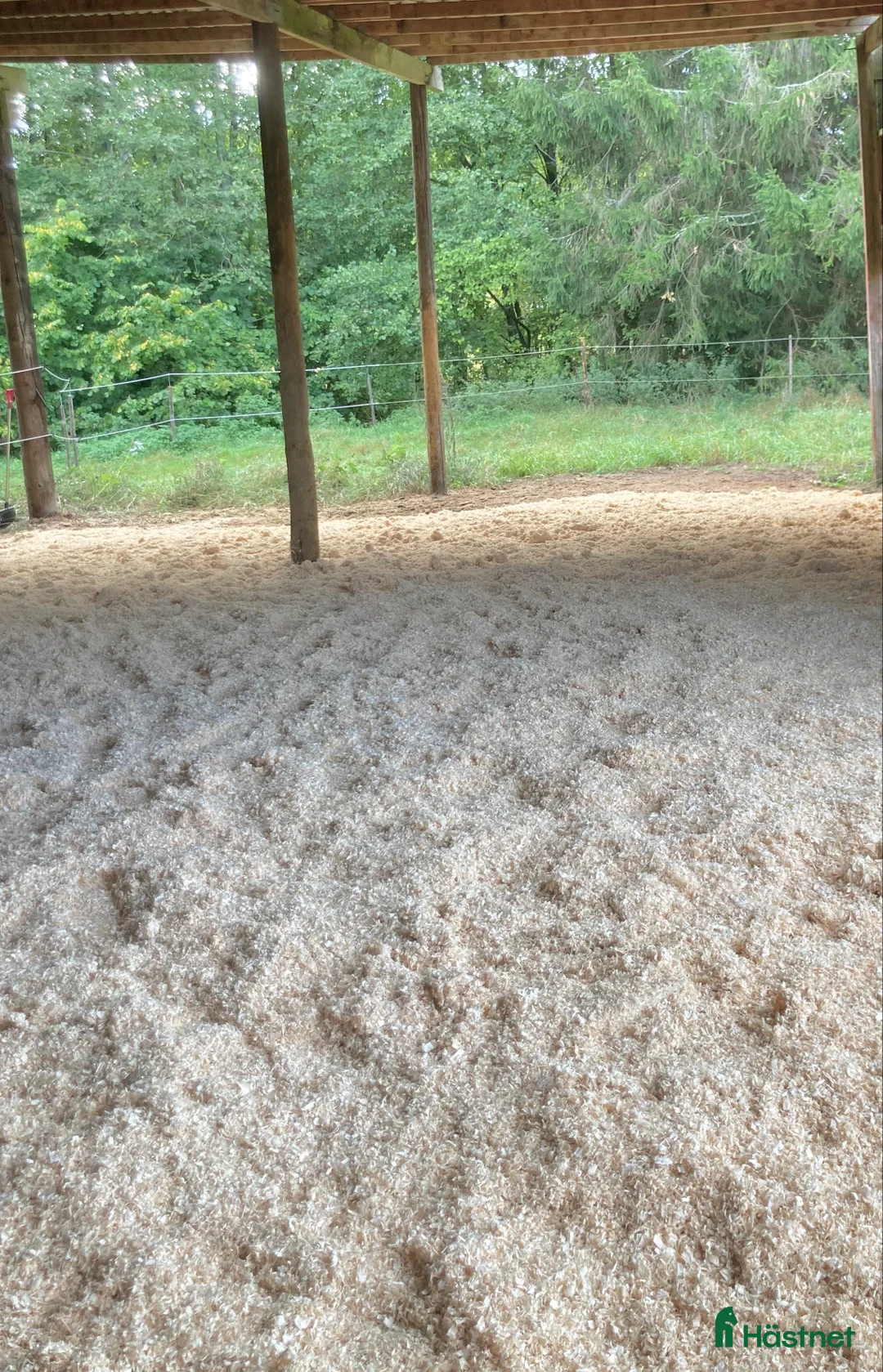  stallplats finnes: Lösdrift för sto i södra Stockholm  i Grödinge - Annons 3