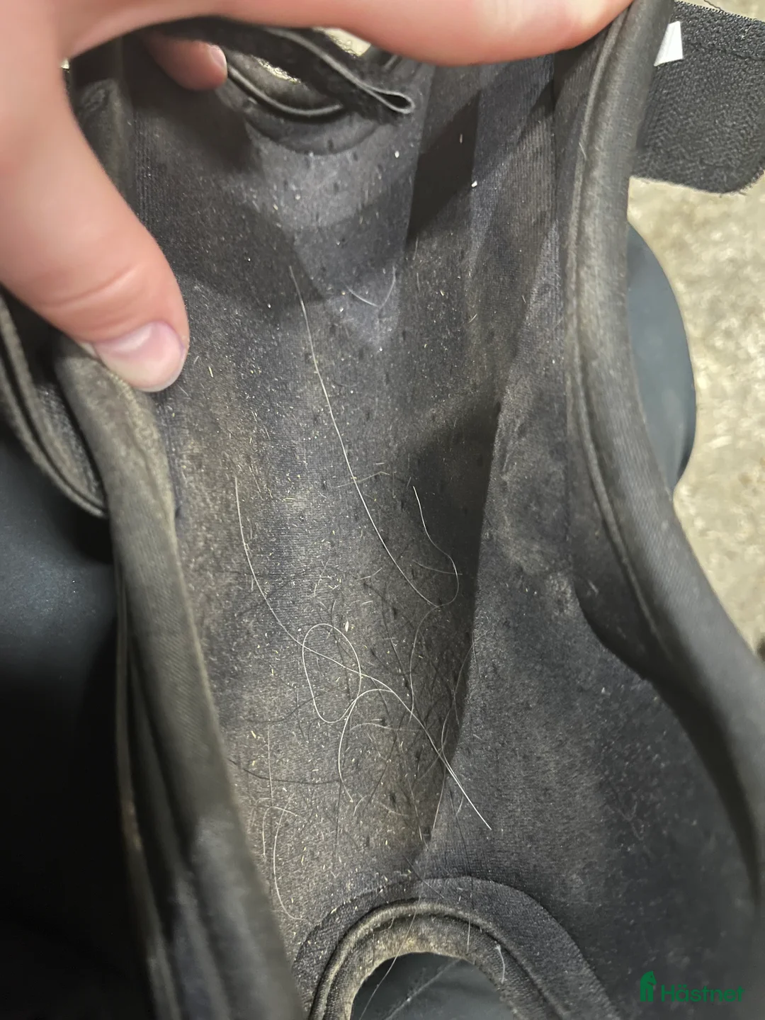 Övrig Hästutrustning hästutrustning till salu: Hästgrejer  i Umeå - Annons 13