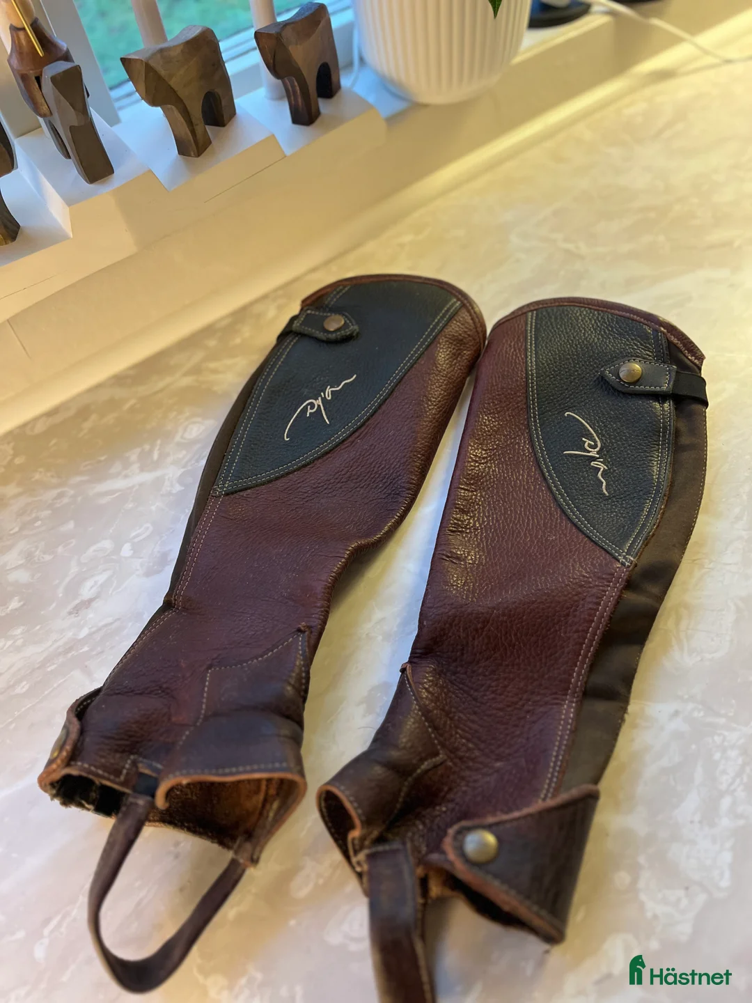 Ridstövlar ryttarutrustning till salu: RIDCHAPS FRÅN DYÓN! i Stånga - Annons 1