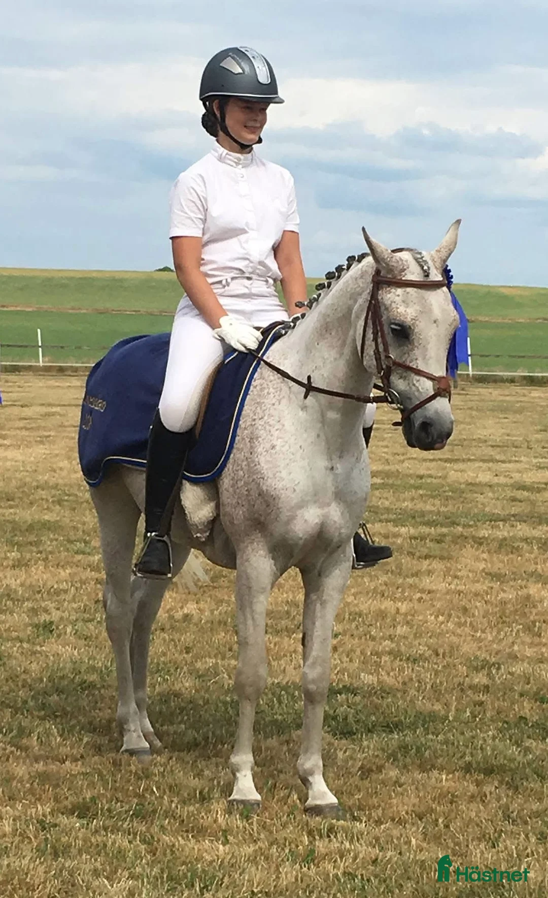 Allround hästar till salu: Hästen med ett hjärta av guld - Annons 4