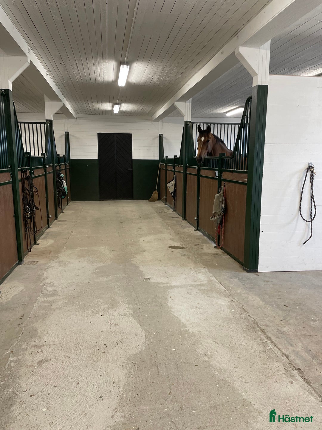  stallplats finnes: Ledig stallplats i Strängnäs för sto eller valack i Strängnäs - Annons 2