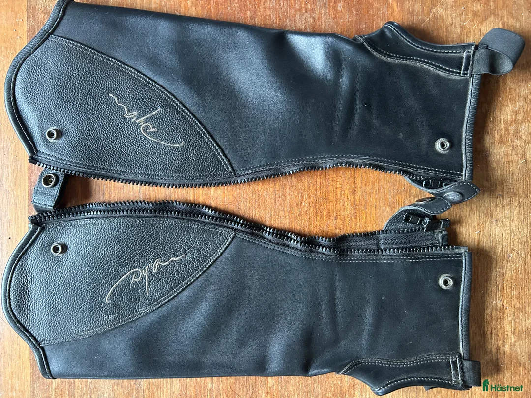 Ridstövlar ryttarutrustning till salu: Dyon chaps  i Ramsele - Annons 1