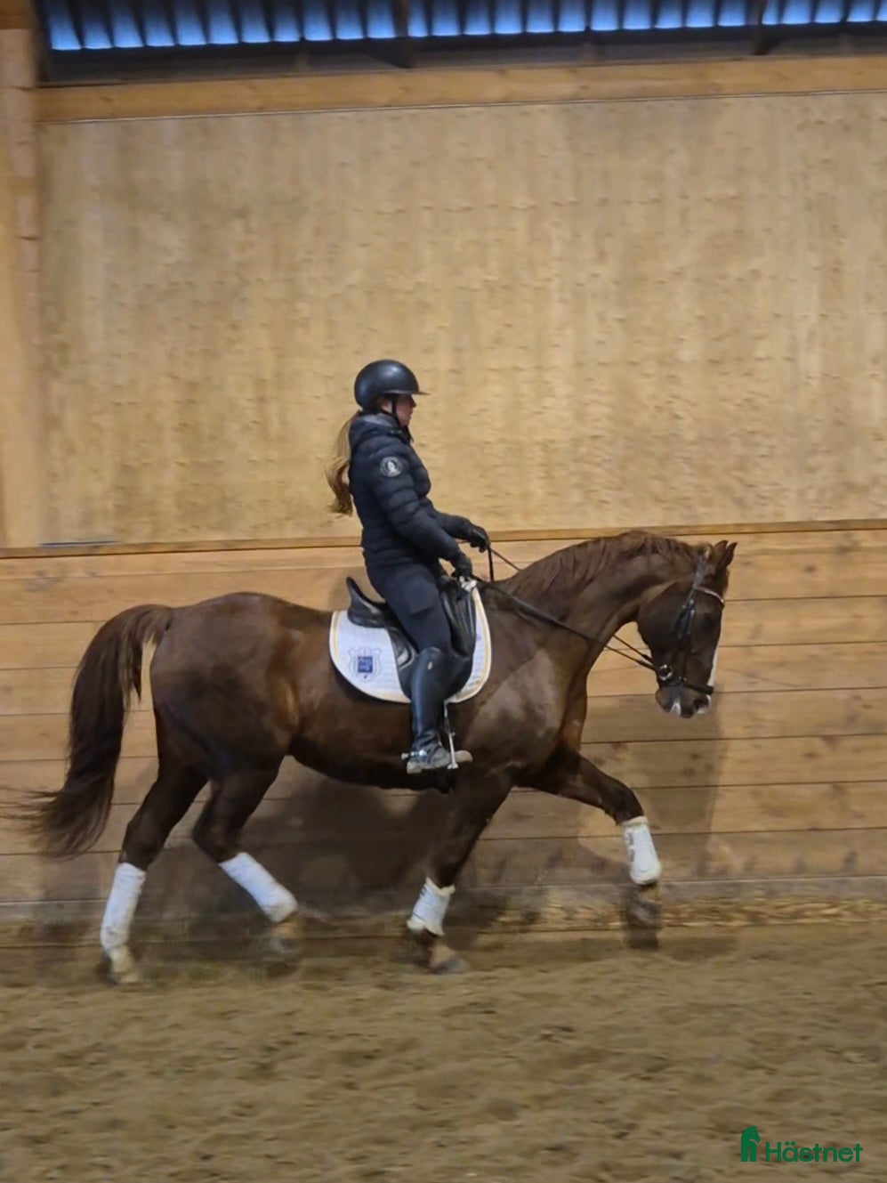  hästar Kille i sina bästa år i Askersund - Annons 9