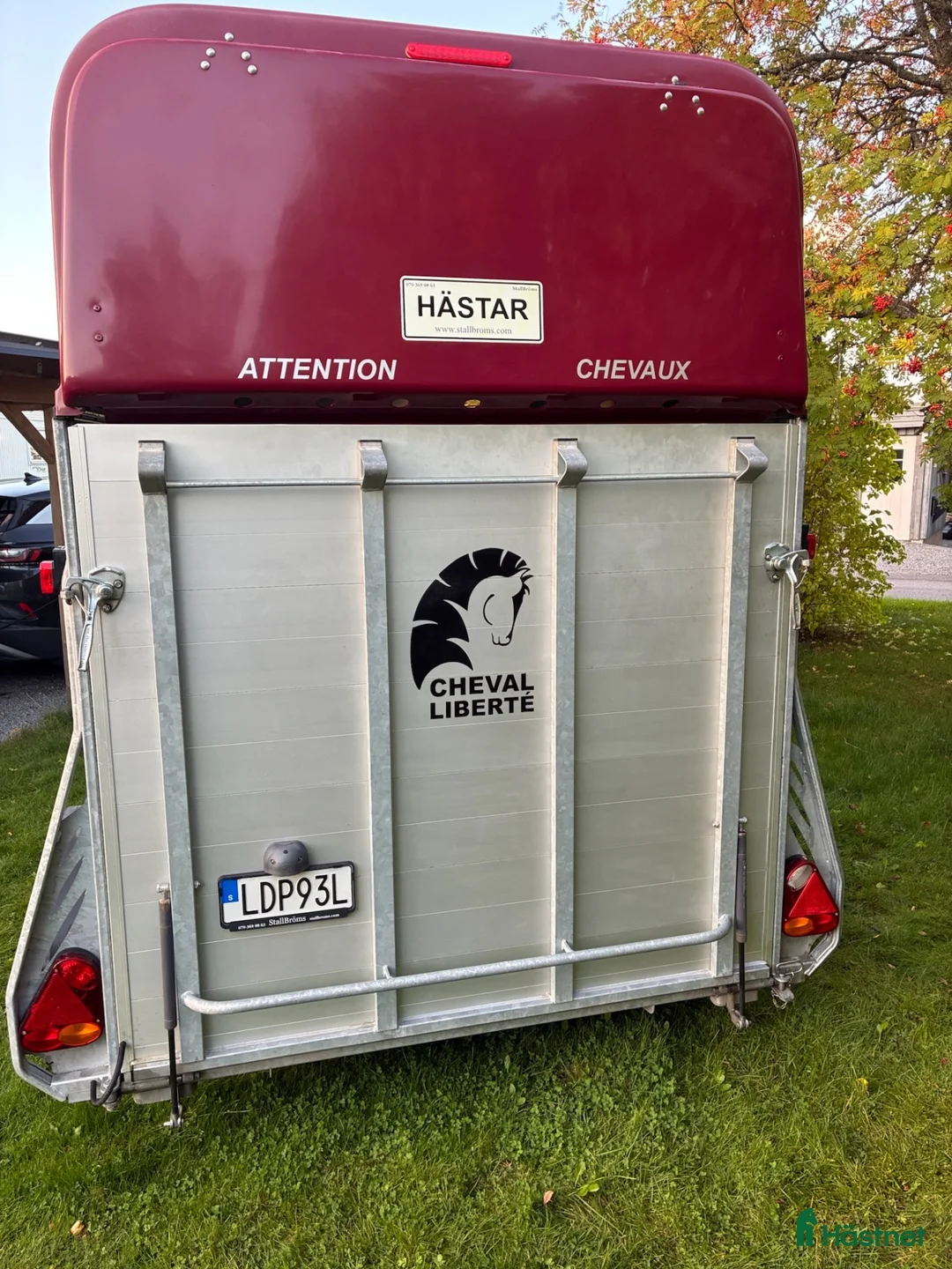 Hästtransporter  fordon & transport till salu: Fin Transport - Annons 2